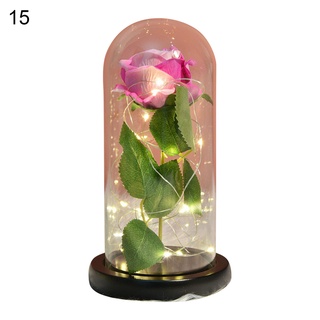 Venta Al Por Mayor] Rosa Preservada Con Flor Simulada Eterna Con Cúpula De  Cristal De Aspecto Agradable Para Aniversario | Shopee Chile