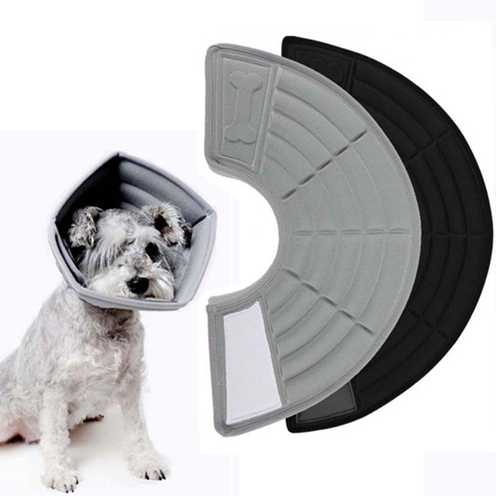 How Should A Dog Cone Fit