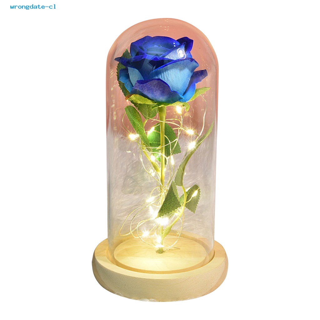 Venta Al Por Mayor] Rosa Preservada Con Flor Simulada Eterna Con Cúpula De  Cristal De Aspecto Agradable Para Aniversario | Shopee Chile