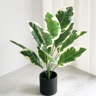 plantas artificiales Ofertas Online, 2023 | Shopee Chile