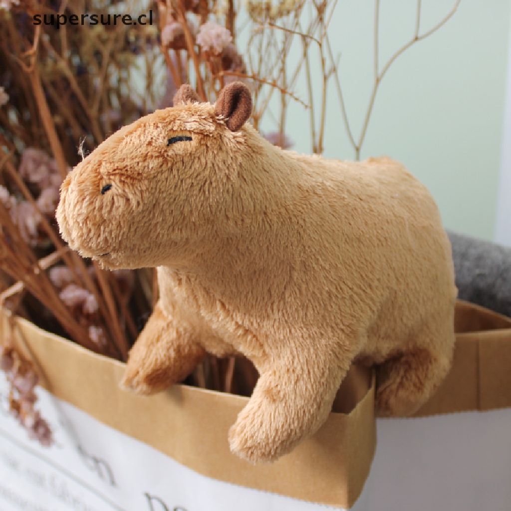 SUPERSURE Simulation Capybara Plush Toy Cute Capybara Stuffed Animal Doll  Birthday Gift . | Shopee Chile
