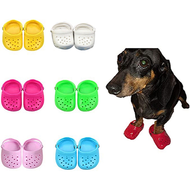 Crocs Tiktok Dog Zapatos Para Perros Pequeños , De Cocodrilos | Shopee Chile