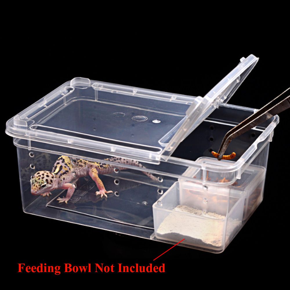 Caja de Plástico Transparente Insecto reptil cría de transporte alimento vivo feedi CL