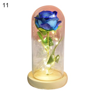 Venta Al Por Mayor] Rosa Preservada Con Flor Simulada Eterna Con Cúpula De  Cristal De Aspecto Agradable Para Aniversario | Shopee Chile