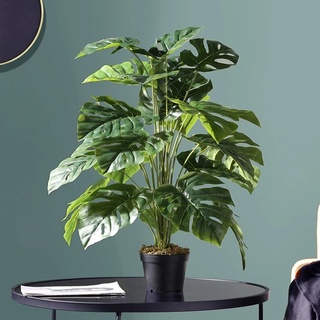 plantas artificiales Ofertas Online, 2023 | Shopee Chile