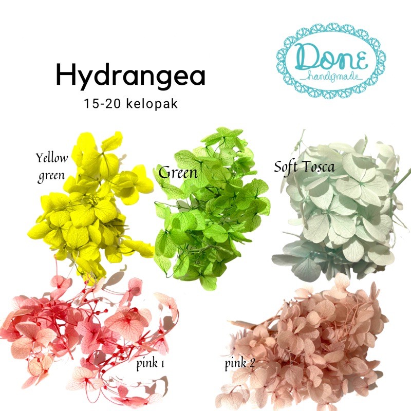 Flor seca hortensias flor conservada | Shopee Chile