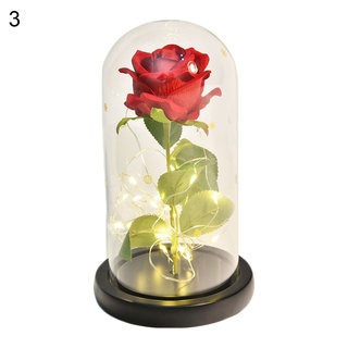 Venta Al Por Mayor] Rosa Preservada Con Flor Simulada Eterna Con Cúpula De  Cristal De Aspecto Agradable Para Aniversario | Shopee Chile