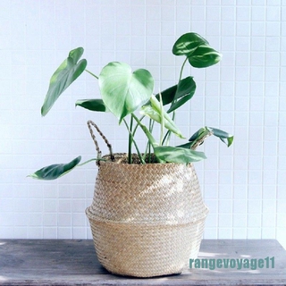 Canasta redonda plegable De mimbre De mimbre | Shopee Chile