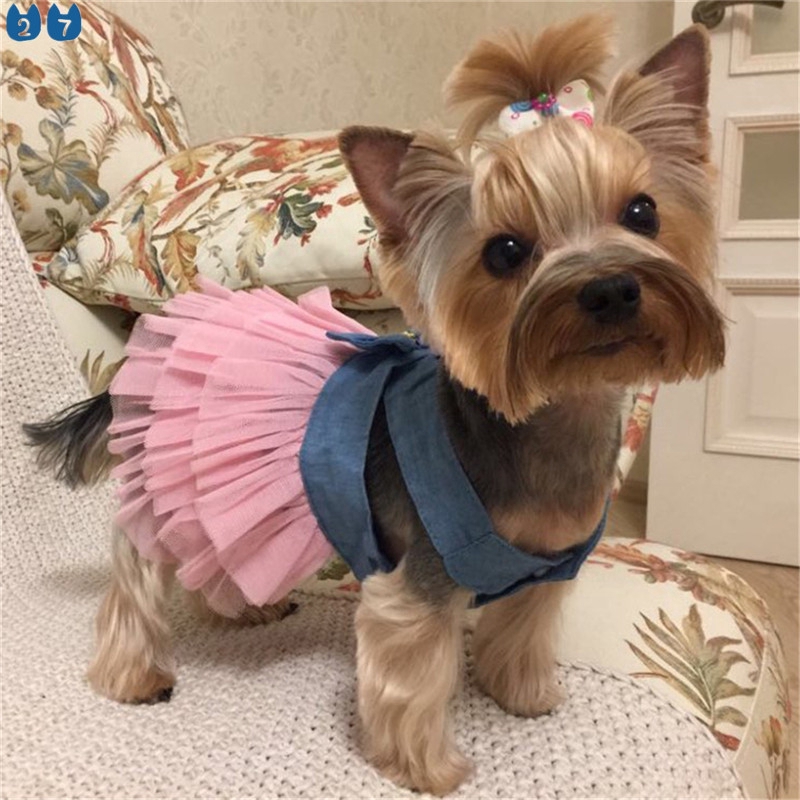 Vestido De Verano Para Perros Mascotas Ropa Chihuahua Novia Falda Cachorros  Vestidos De Primavera Jean XS-L | Shopee Chile