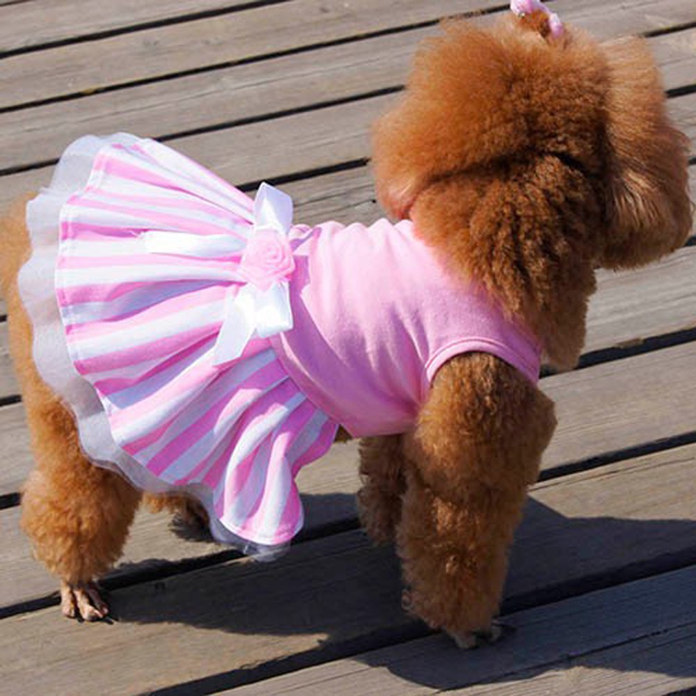 Balacoo Vestido de Perro Cachorro Princesa Tutu Falda de Arco Ropa para Perros Pequeños Gatos Ropa para Mascotas Trajes Disfraz de Perro para Cumpleaños Boda XS Azul Cielo 